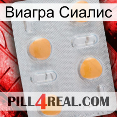 Виагра Сиалис 24